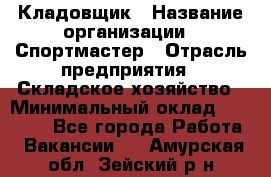 Кладовщик › Название организации ­ Спортмастер › Отрасль предприятия ­ Складское хозяйство › Минимальный оклад ­ 26 000 - Все города Работа » Вакансии   . Амурская обл.,Зейский р-н